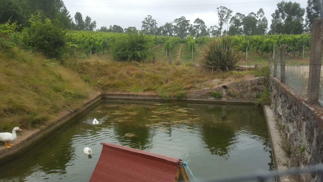 Quinta D'Areda Wine&Pool Experience Guest House Fafe Exterior photo
