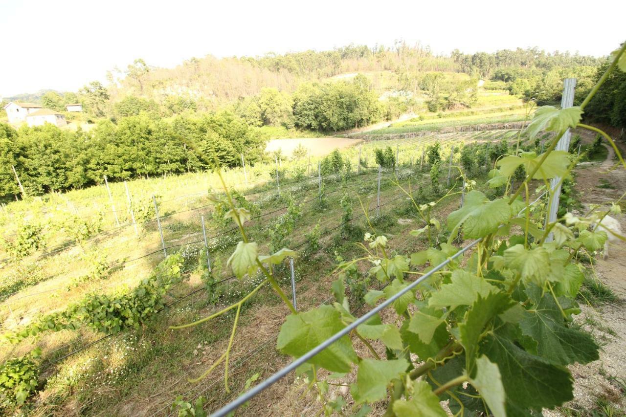 Quinta D'Areda Wine&Pool Experience Guest House Fafe Exterior photo